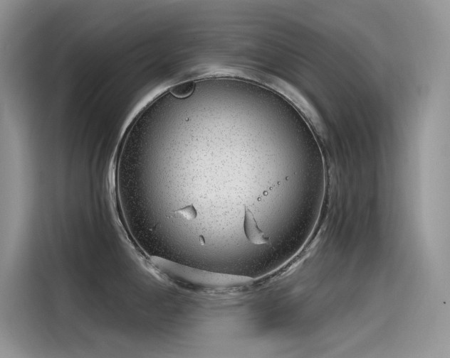 X0000115521198200911131439