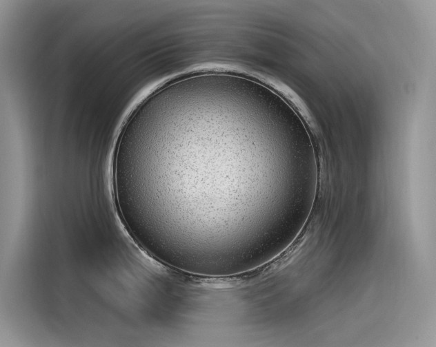 X0000115521199200911131439