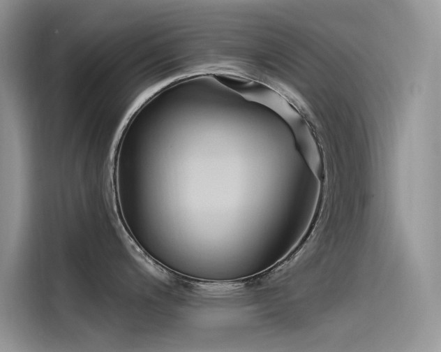 X0000115521200200911131439