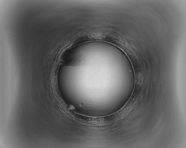 X0000115521201200911131438