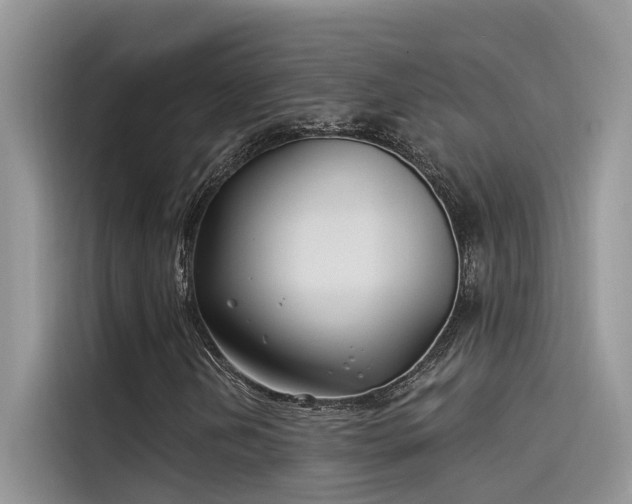 X0000115521202200911131438