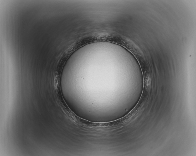 X0000115521204200911131438