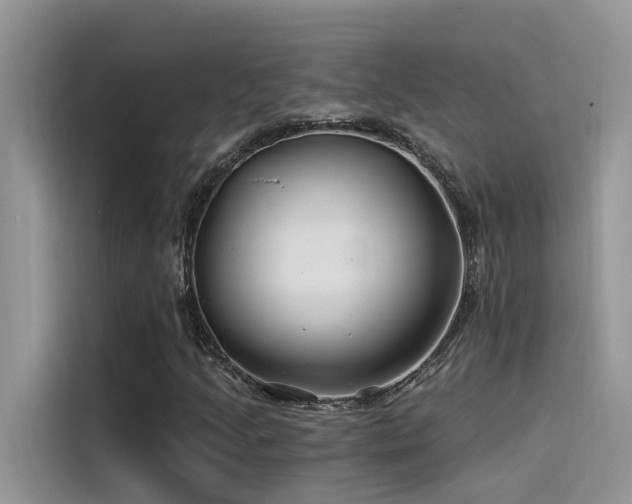 X0000115521205200911131438