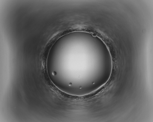 X0000115521206200911131438