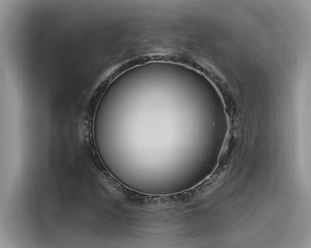 X0000115521208200911131438