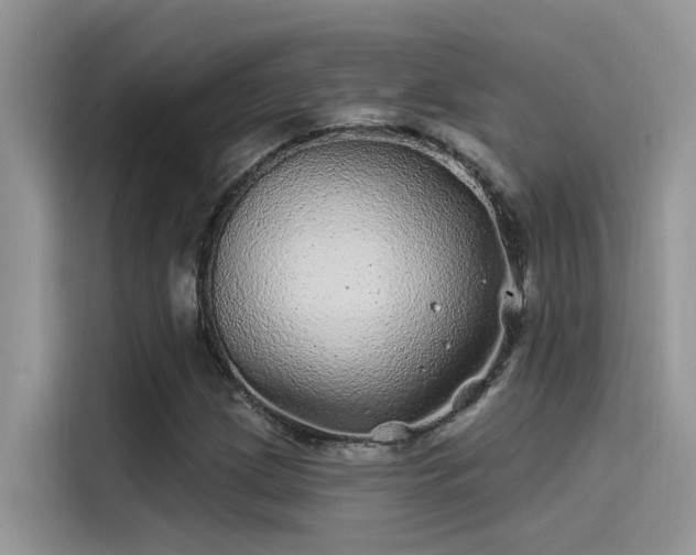 X0000115521209200911131438