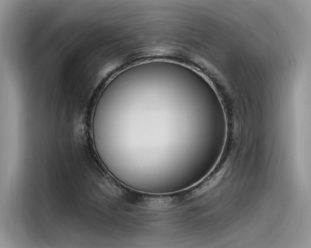 X0000115521210200911131438