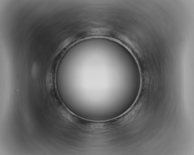 X0000115521211200911131438