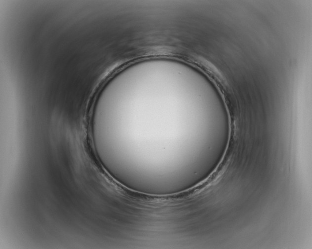 X0000115521212200911131438