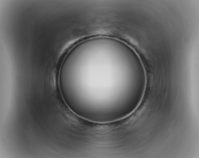 X0000115521214200911131438