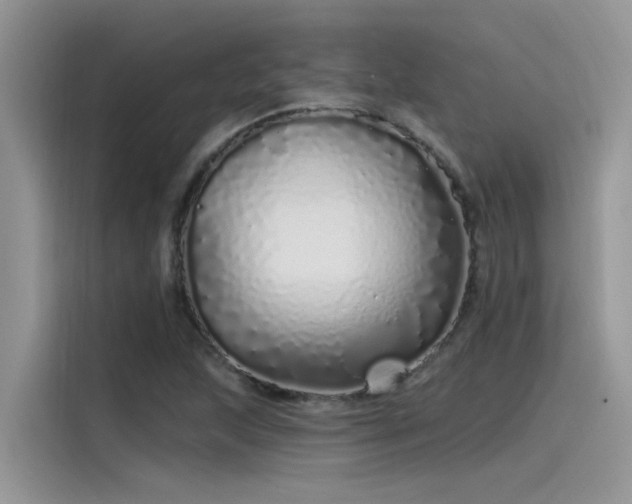 X0000115521215200911131438