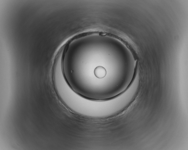 X0000115521216200911131438