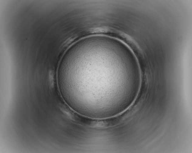 X0000115521217200911131438