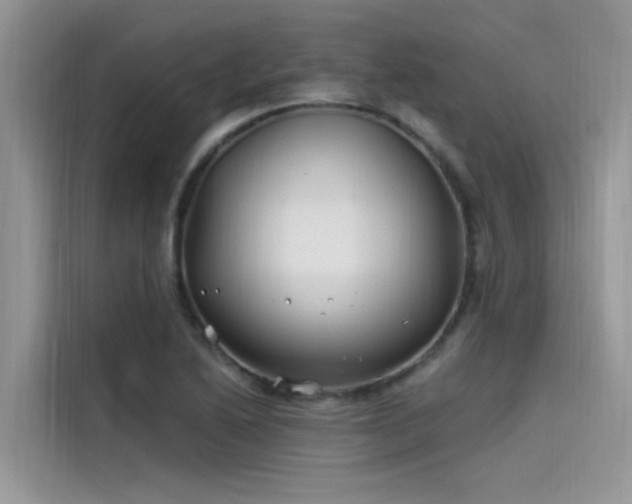 X0000115521222200911131438