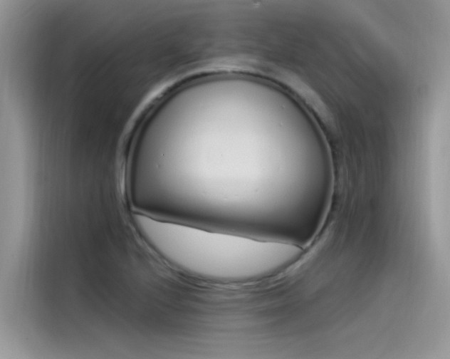 X0000115521224200911131438