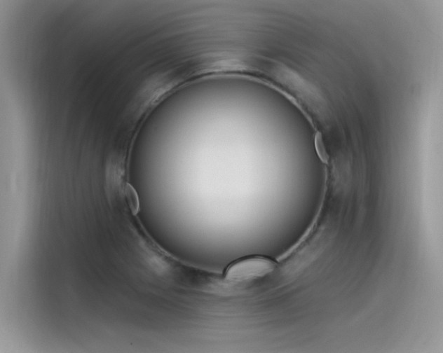 X0000115521225200911131438