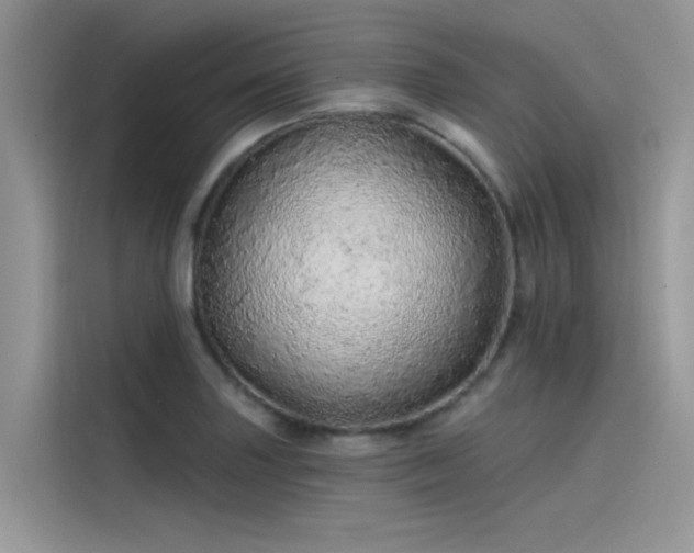 X0000115521227200911131439