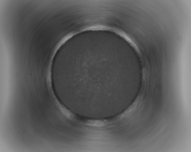 X0000115521229200911131439