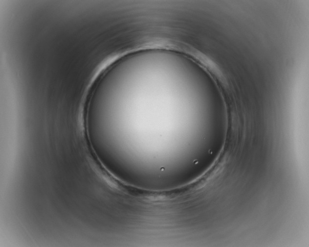 X0000115521230200911131439