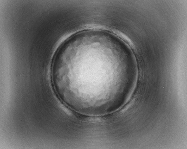 X0000115521231200911131439