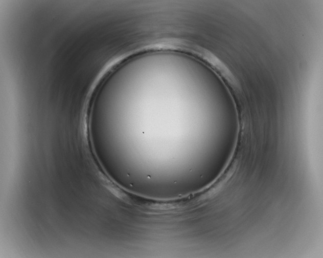 X0000115521232200911131439