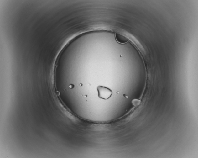 X0000115521236200911131439