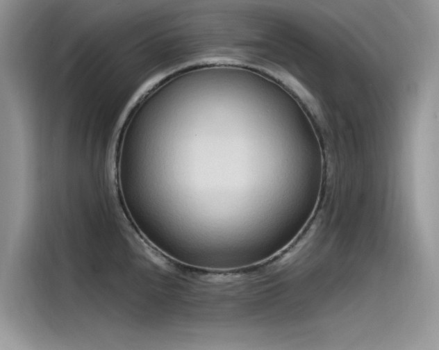 X0000115521240200911131439