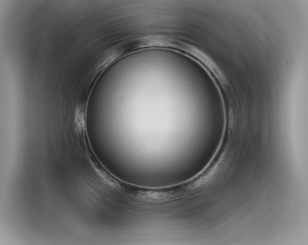 X0000115521241200911131439