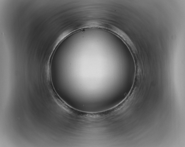 X0000115521242200911131439