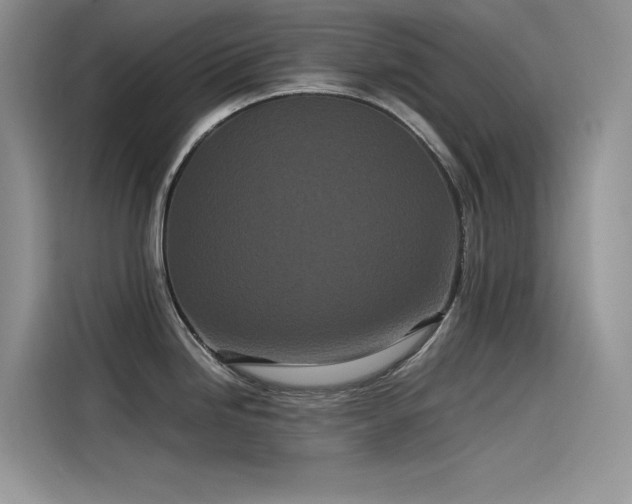 X0000115521246200911131439