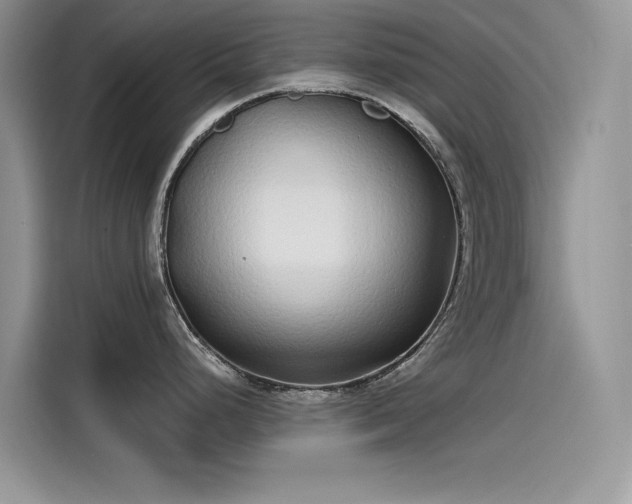 X0000115521248200911131439