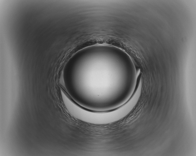 X0000115521249200911131438