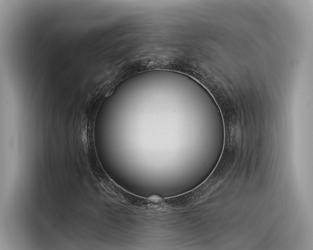 X0000115521250200911131438