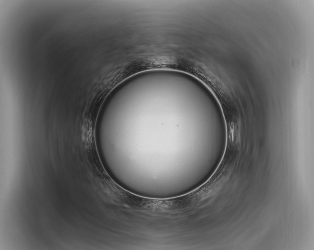 X0000115521251200911131438