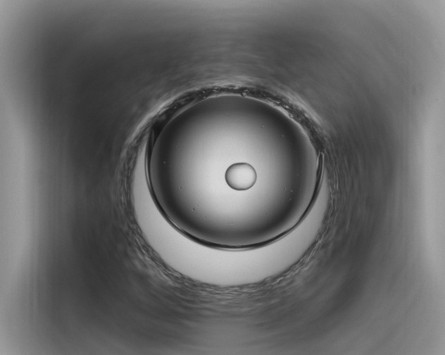 X0000115521256200911131438