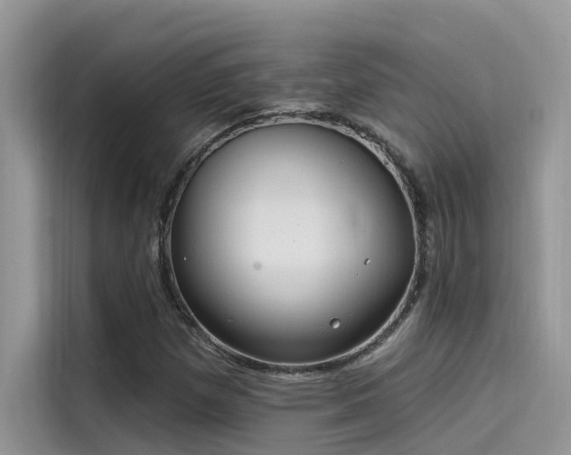 X0000115521257200911131438