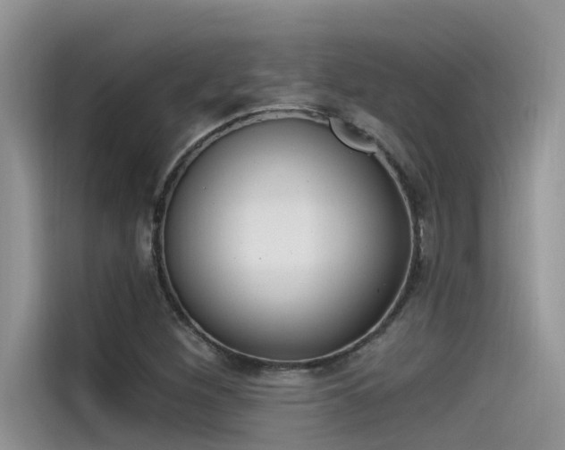 X0000115521260200911131438