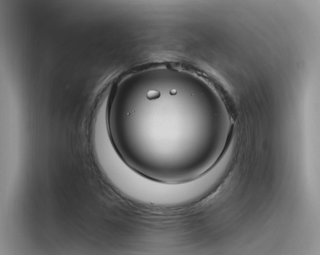 X0000115521261200911131438