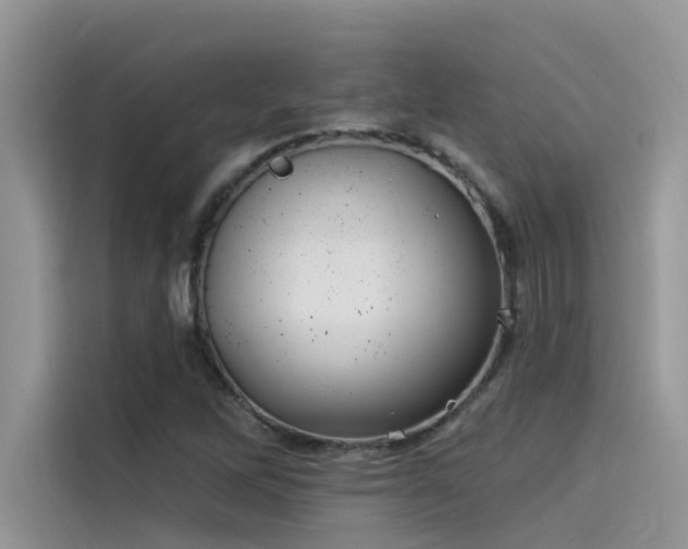 X0000115521262200911131438