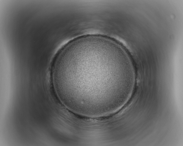 X0000115521263200911131438