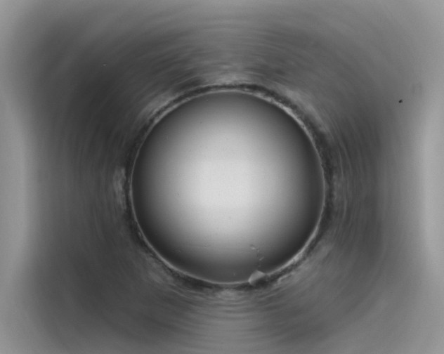 X0000115521265200911131438