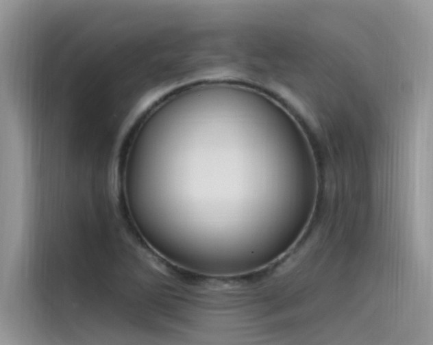 X0000115521270200911131438