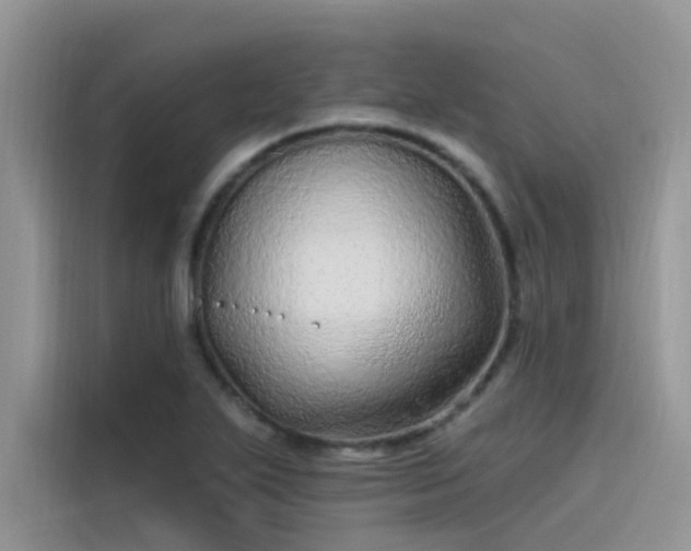 X0000115521271200911131438