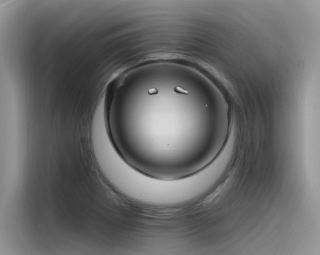 X0000115521273200911131438