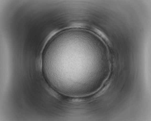 X0000115521275200911131438