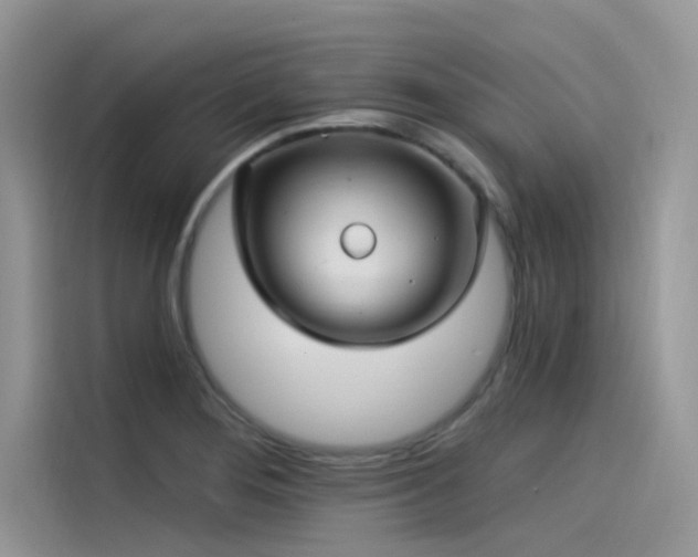 X0000115521276200911131438