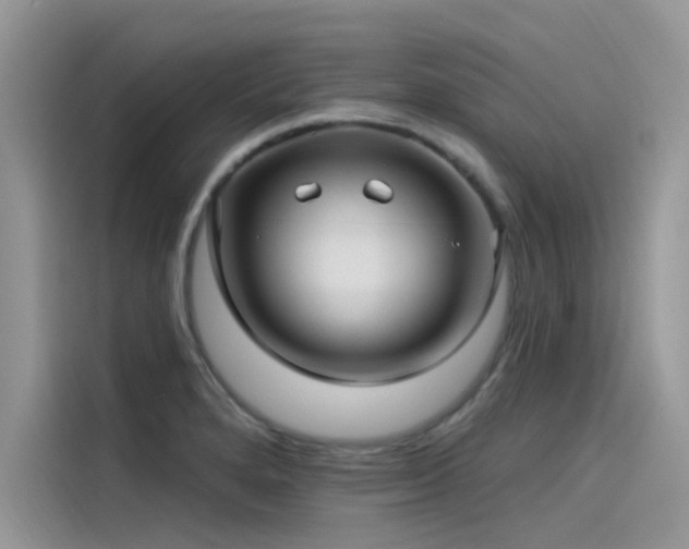 X0000115521280200911131438