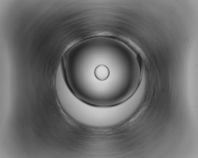 X0000115521281200911131438