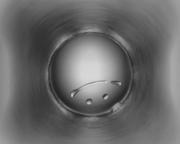 X0000115521282200911131438