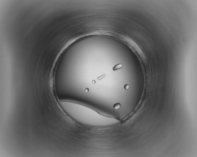 X0000115521284200911131438